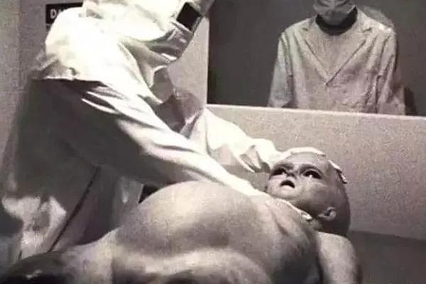 美国ufo事件真实外星人