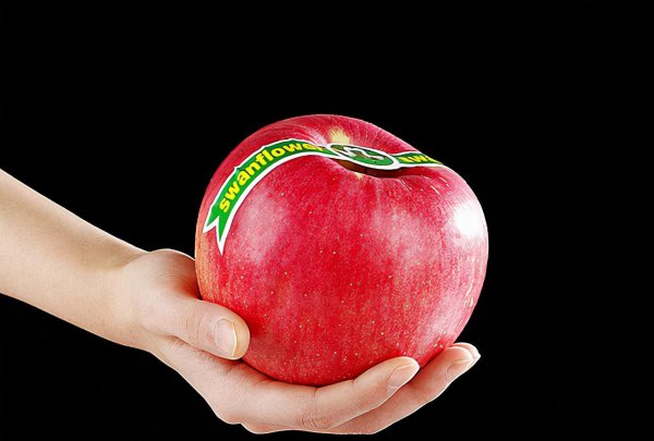 苹果品种排行榜前十名