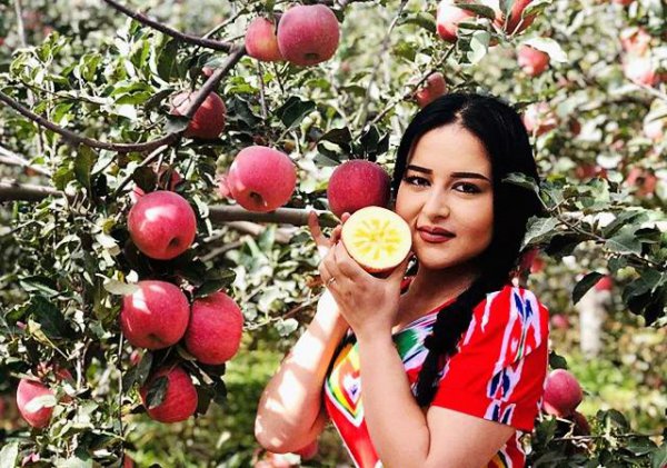 苹果品种排行榜前十名