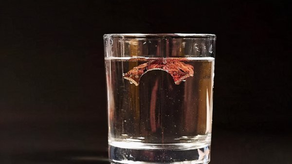 怎么辨认黄花梨手串好坏