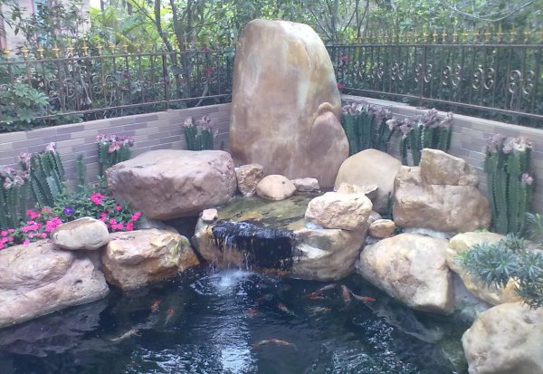 家庭人工养鱼池塘怎么建