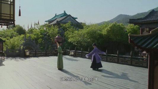 徽柔公主原型是谁