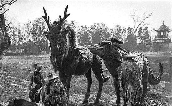 1999年外星人入侵事件是真的吗