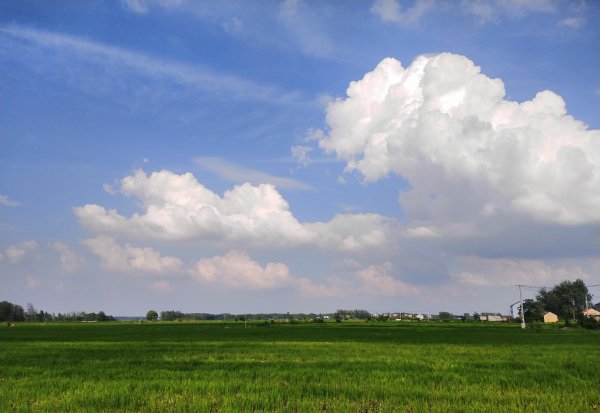 中原地区指的是哪里