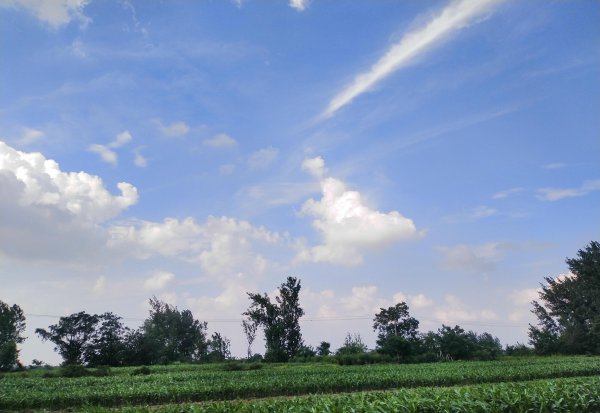 中原地区指的是哪里