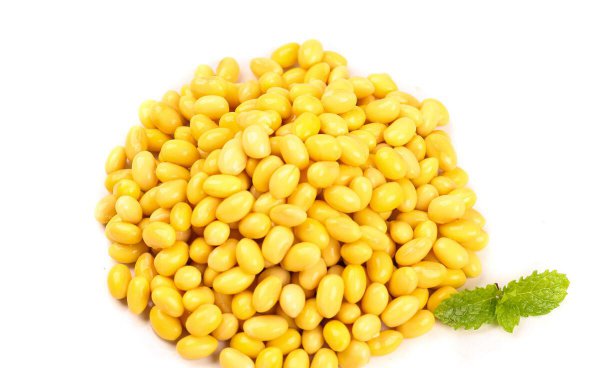 中原地区指的是哪里