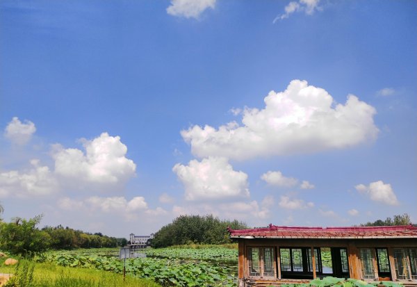 中原地区指的是哪里