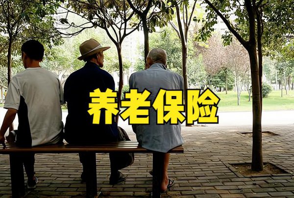 城乡居民养老保险交多少钱划算