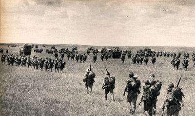 诺门坎战役双方损失对比