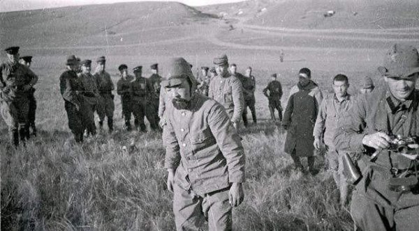 诺门坎战役双方损失对比