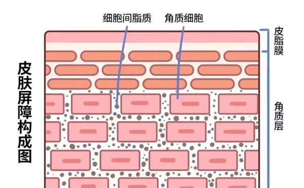 护肤品顺序