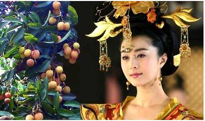 一骑红尘妃子笑的典故由来