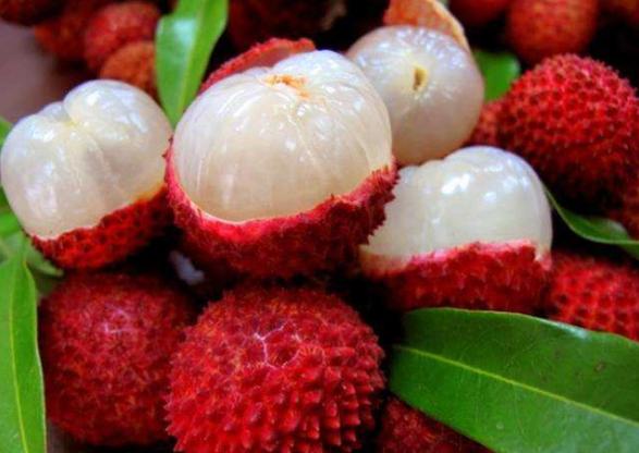 一骑红尘妃子笑的典故由来