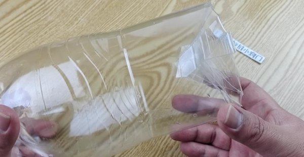 房间里有老鼠用什么方法可以解决