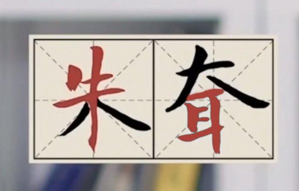 清初八大山人是谁的文号
