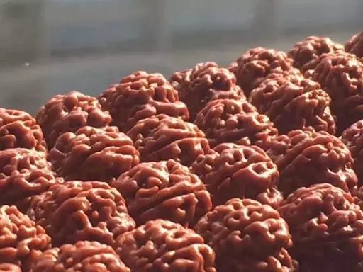 大金刚菩提怎么盘玩教程