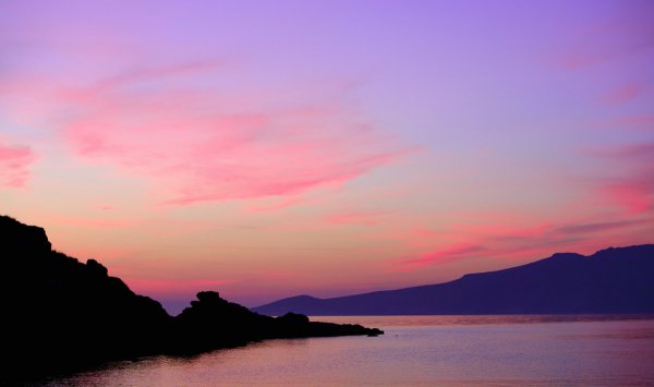 琵琶行的作者和朝代什么