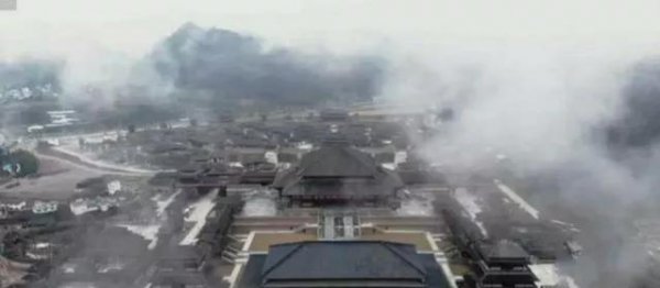 赢壮和赢荡是亲兄弟吗