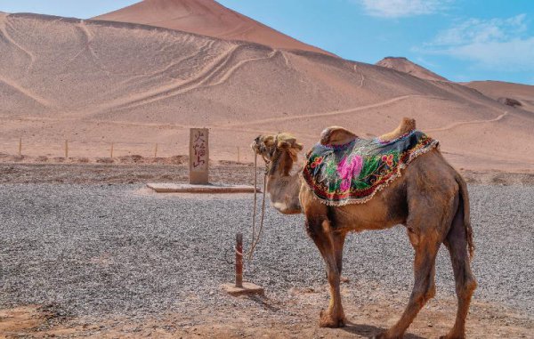 西游记中的火焰山位于哪里