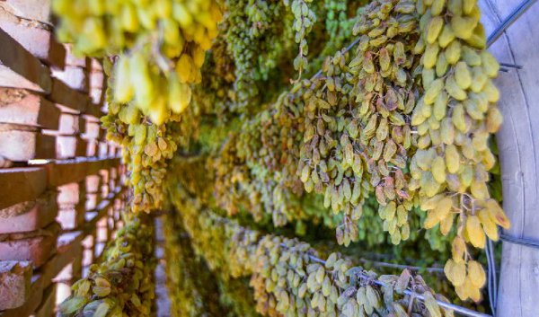 西游记中的火焰山位于哪里