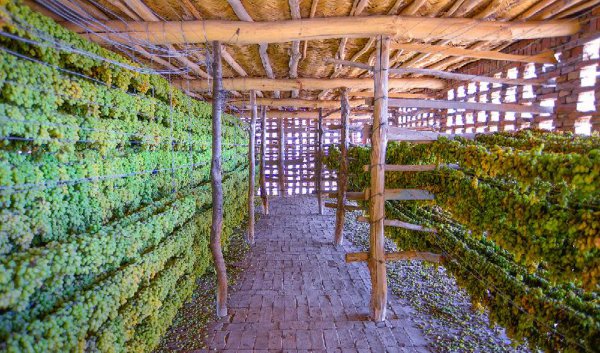 西游记中的火焰山位于哪里