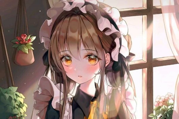 ntr是什么意思
