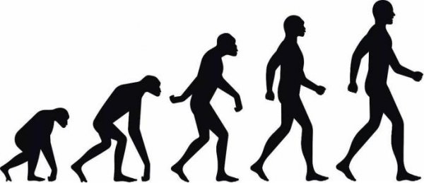 世界上第一个人类是谁