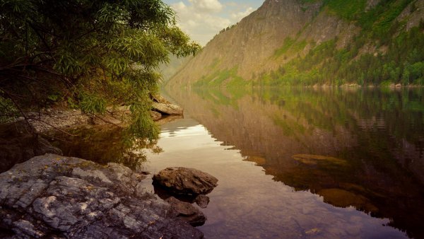 祖宗十八代中高祖是什么辈分