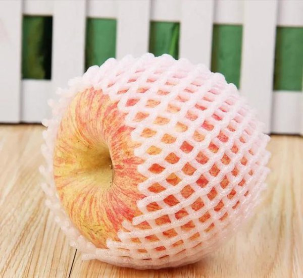 泡沫箱子可以种菜吗