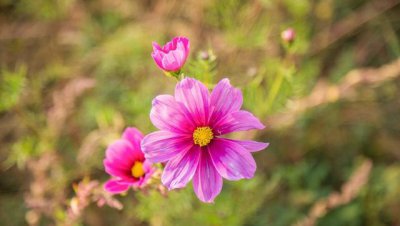 进入社会必须懂的人情世故 年轻人应该看清的人情世故