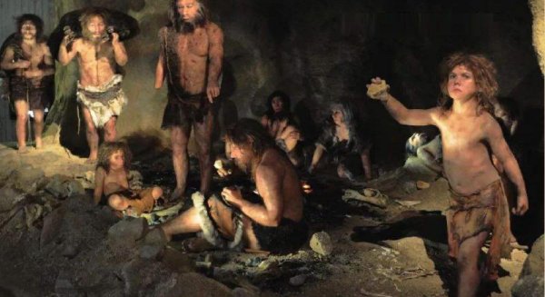 尼安德特人灭绝的原因