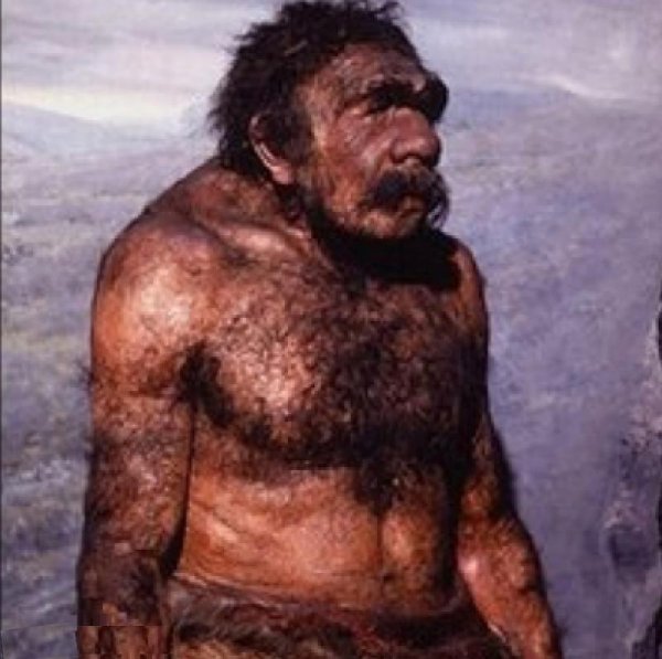尼安德特人灭绝的原因