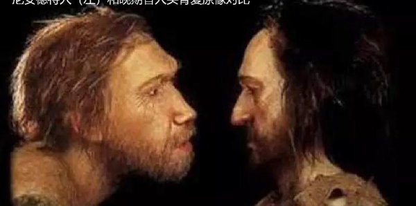 尼安德特人灭绝的原因