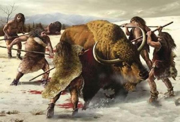 尼安德特人灭绝的原因