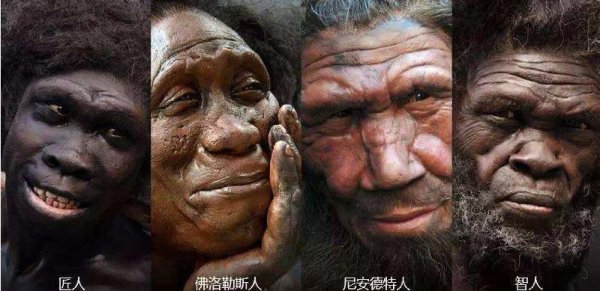 尼安德特人灭绝的原因