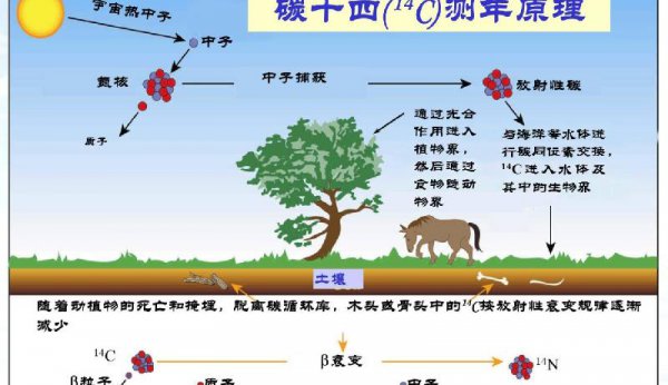 玛雅人为什么突然消失