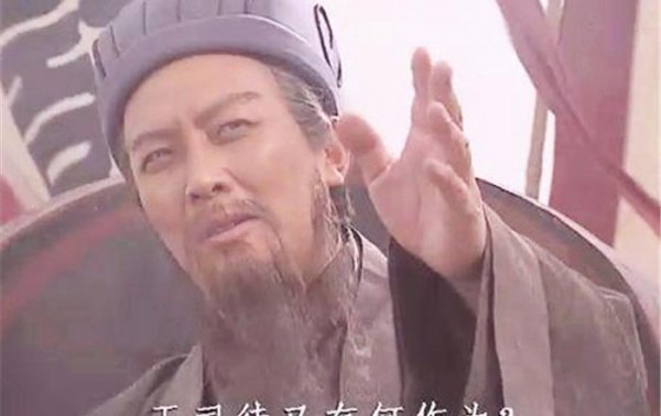 对诸葛亮的人物评价800字