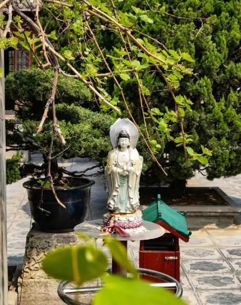 东京汴梁是现在的哪里