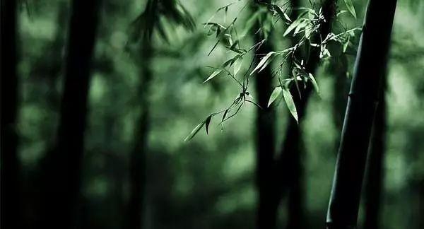 道德经最霸气的一句话
