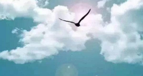 弘一法师最有名的三句话