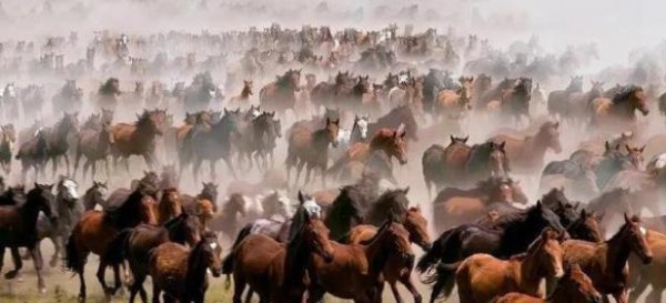 大宛国现在是哪个国家