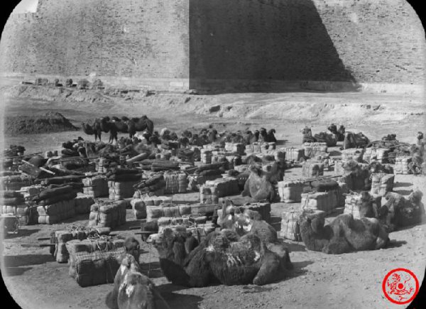 1880年是什么朝代