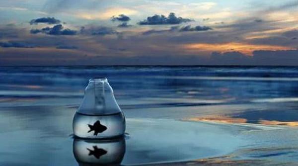 叔本华最著名的一句话