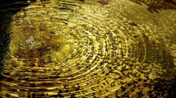 叔本华最著名的一句话