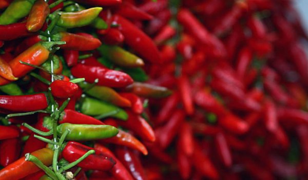 古代没辣椒怎么吃辣味