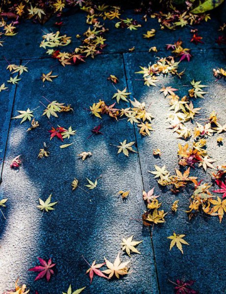 杭州灵隐寺求什么最灵