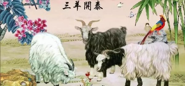 为什么属羊的人命不好