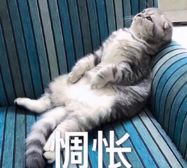 扁鹊治病告诉我们什么道理