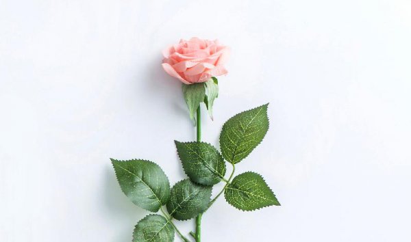 有夫妻相的人其实是命中注定