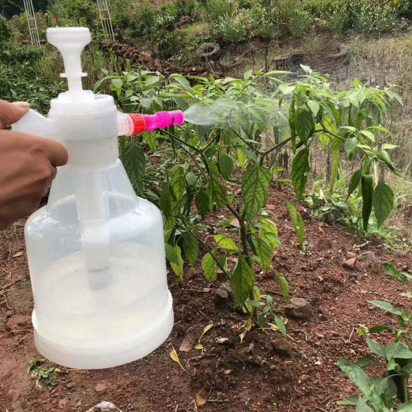 小飞虫怎么消灭最简单的方法